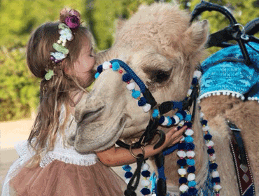 Cruizey Camel Rides